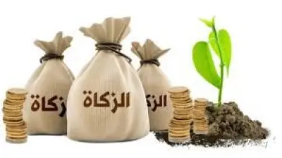 أمين الإفتاء: الزكاة فريضة لتحقيق العدالة الاجتماعية والتكافل