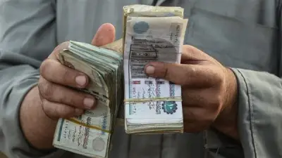 أمين الفتوى: الزكاة نظام تكافلي يحقق التوازن والرحمة في المجتمع