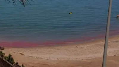 المعهد القومي لعلوم البحار يرصد تكاثر الشعاب المرجانية بالبحر الأحمر