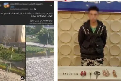 ضبط لص سرقة أسلاك الإشارات المرورية في القاهرة