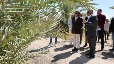 محافظ الوادي الجديد تتفقد مشروع استثمار زراعي متكامل بالخارجة