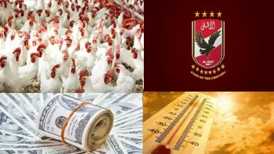 مفاجأة لجماهير الأهلي بشأن عاشور والشحات وأسعار الذهب والدواجن والدولار اليوم