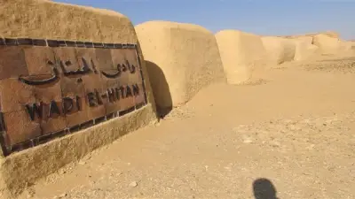 تجديد إدراج وادي الحيتان بالقائمة الخضراء للاتحاد الدولي لصون الطبيعة