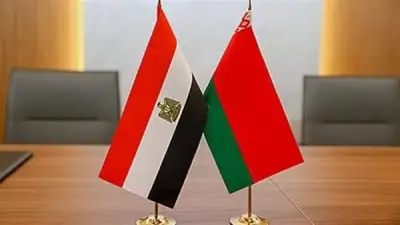 محمد فريد: منتديات الأعمال المشتركة بوابة لتحويل الفرص إلى استثمارات حقيقية