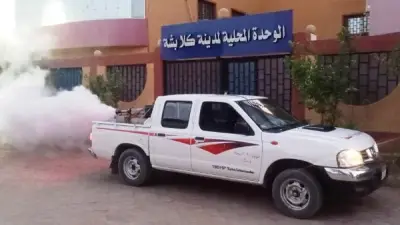 مكافحة ناقلات الأمراض بمدينة كلابشة في أسوان استجابة لمطالب المواطنين