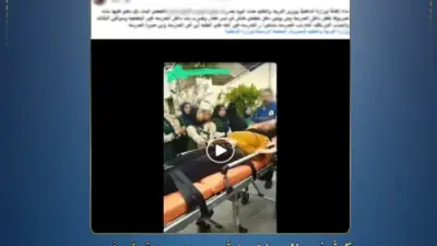 كشف ملابسات فيديو مشاجرة طالبات بالدخيلة في الإسكندرية
