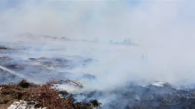 السيطرة على حريق في أرض فضاء بجوار استاد برج العرب في الإسكندرية