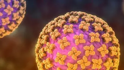 مستشار الرئيس للصحة: لا إصابات بفيروس هانتا في مصر وانتشاره محدود عالمياً