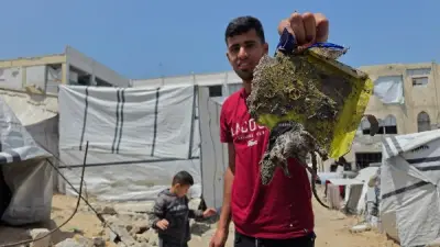 رعب في غزة من فيروس هانتا بعد انتشار الفئران بشكل لافت