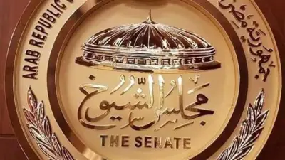 منصة رقمية للمخطوطات والتراث تناقشها لجنة الثقافة بمجلس الشيوخ