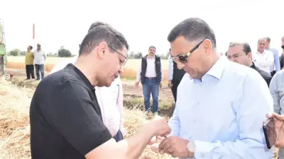 محافظ القليوبية ورئيس جامعة بنها يفتتحان موسم حصاد القمح بمشتهر
