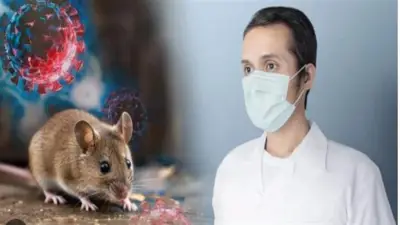 فيروس هانتا ليس وباء عالميا.. طبيب يوضح المضاعفات وطرق الوقاية