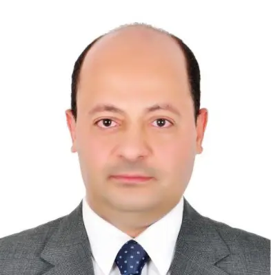 وزير الاستثمار يصدر قرارًا بتعيين سعيد عرفة مساعدًا للوزير لشؤون عقود الاستثمار