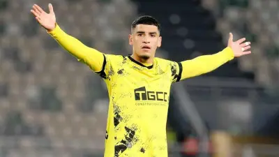 الأهلي يترقب حسم اتفاقه مع سفيا قبل مفاوضات الفاسي
