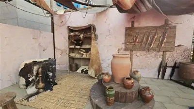استعدادات العرض الخاص لفيلم أسد بديكورات مستوحاة من الفيلم