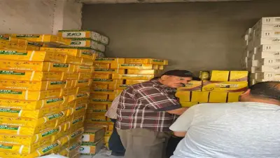 الزراعة تضبط تقاوي سورجم مقلدة ومغشوشة في الفيوم