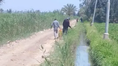 مكافحة القواقع ضمن خطة الفحص الربيعي الشامل بقرى دمياط