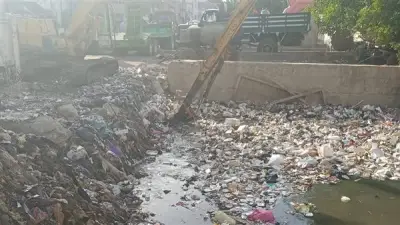 تكثيف أعمال تطهير ترعة زغلولة بكفر سرنجا في ميت غمر لتحسين الري