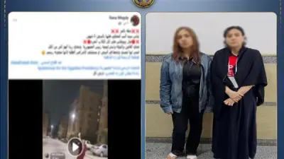 خلاف بين سيدتين بسبب إطعام الكلاب ينتهي ببلاغ متبادل في أكتوبر