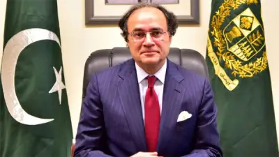 وزير مالية باكستان يغادر إلى بكين لحضور إصدار أول سندات باندا