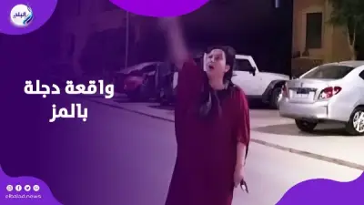 كواليس واقعة دجلة بالمز.. شهود يكشفون تفاصيل تسميم الكلاب الضالة