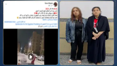 حرب الكلاب في أكتوبر.. كيف تحول إطعام الحيوانات إلى محضر شرطة؟