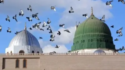 علي جمعة: النبي حي في قبره ويعرف من يصلي عليه