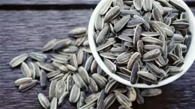 اللب السوري: فوائد مذهلة وتحذيرات من الإفراط في تناوله