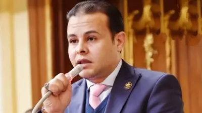 برلماني: توطين صناعة السيارات خطوة استراتيجية تعزز الاقتصاد الوطني