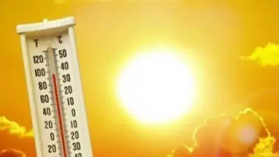 موجة حارة تضرب مصر في عيد الأضحى.. الأرصاد تحذر من ذروة الأحد والاثنين