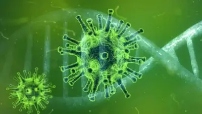 الصحة العالمية: مصدر عدوى فيروس هانتا لا يزال مجهولاً حتى الآن