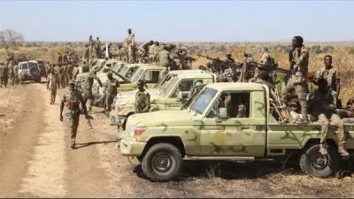مساعد وزير الخارجية: الأزمة السودانية حرب داخلية وليست نزاعاً بين دول