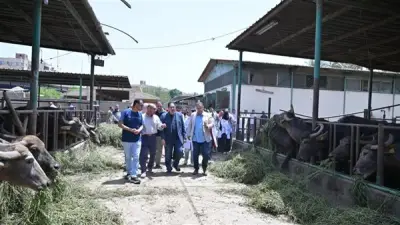 رئيس جامعة القاهرة يتفقد محطة التجارب والبحوث الزراعية ويوجه بتعزيز الشراكات