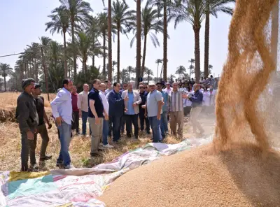 رئيس جامعة القاهرة: محطة التجارب والبحوث الزراعية نموذج متكامل للتعليم والتدريب والإنتاج