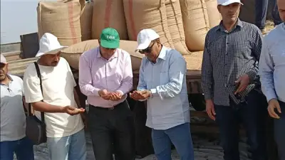 الزراعة تتابع حصاد القمح وتجهيز الزراعات الصيفية بمحطة بحوث سخا