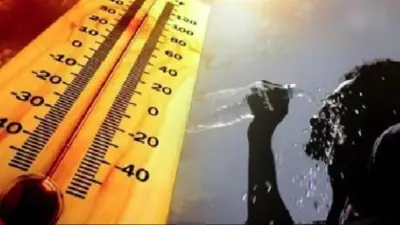 لماذا تسجل أعلى درجات حرارة العام خلال فصل الربيع؟
