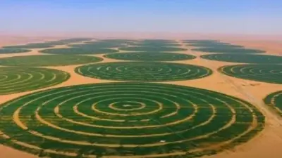 عضو زراعة النواب: افتتاح الدلتا الجديدة نقلة تاريخية لتأمين الغذاء