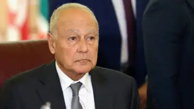 أبو الغيط: الاعتداء على براكة الإماراتية تصعيد بالغ الخطورة