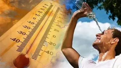 انكسار الموجة الحارة الأربعاء وعودة الأجواء الربيعية تدريجياً