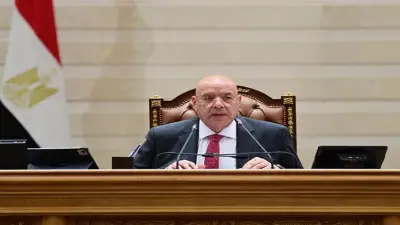 نائبة بالتنسيقية تشكر رئيس النواب لدعمه الأدوات الرقابية