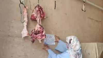 حملة توعية من مياه الأقصر للجزارين والمواطنين قبل عيد الأضحى
