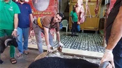 حكم توكيل الجمعيات في ذبح الأضحية.. أمين الفتوى يوضح