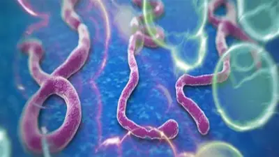 الصحة العالمية تعلن حالة طوارئ صحية عامة لأول مرة قبل تشكيل لجنة طوارئ