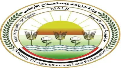 الزراعة: انفراجة مرتقبة في أسعار الطماطم بالأسواق خلال الفترة المقبلة