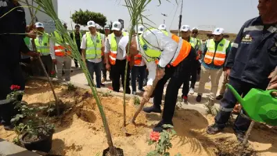 محافظ كفر الشيخ يزرع النخيل في دسوق ضمن مبادرة جميلة يا بلدي