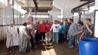 رئيس مركز أبوقرقاص يتفقد المجازر استعداداً لعيد الأضحى