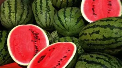 الزراعة تنفي شائعات البطيخ المسرطن والصحة تمنع إيبولا والحكومة تؤكد استقرار الأسواق