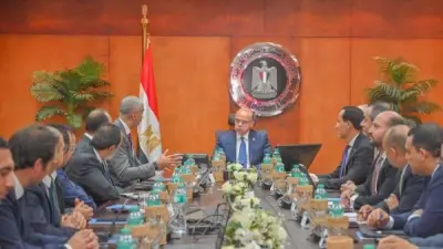 وزير الاستثمار يبحث تسريع التحول الرقمي مع فودافون لتحسين الخدمات الحكومية
