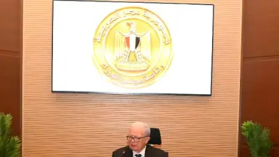 نائب رئيس الوزراء: الحكومة تقدم تسهيلات لتوسع الاستثمارات الأجنبية في مصر