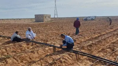 بحوث الصحراء ينفذ حقولاً إرشادية في مطروح لمواجهة التغيرات المناخية